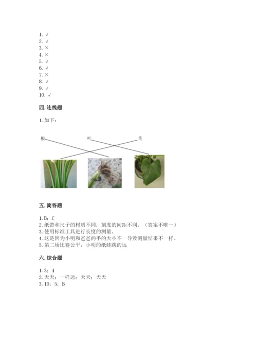 教科版一年级上册科学期末测试卷含答案【夺分金卷】.docx