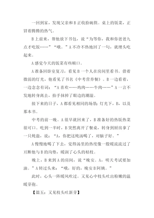 又见枝头吐新芽作文500字.docx