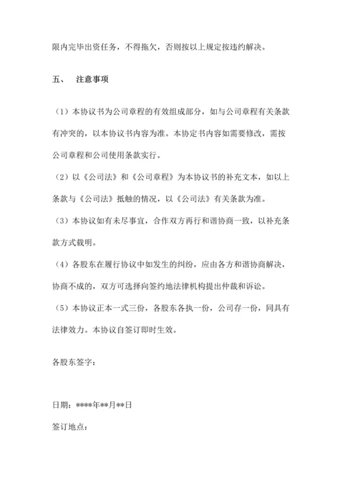 天使投资人合作协议书.docx