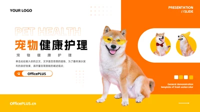 橙黄简洁宠物健康护理PPT模板