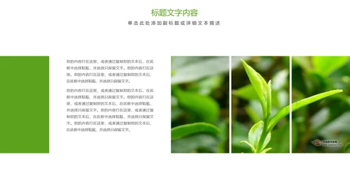 唯美清新绿色茶园茶艺茶文化品茶论道PPT模板