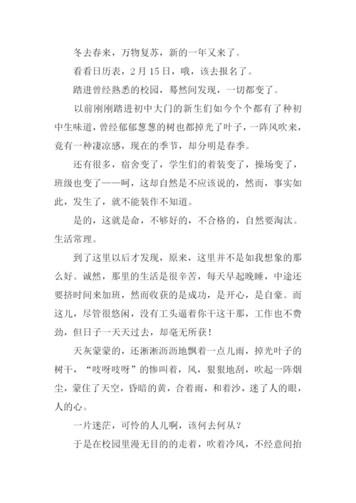 又见枝头吐新芽作文500字.docx