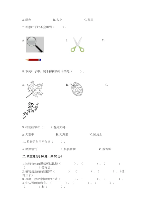 教科版一年级上册科学期末测试卷a4版.docx