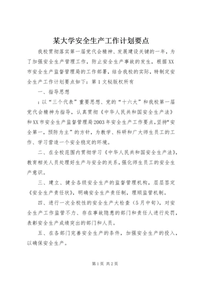 某大学安全生产工作计划要点 (2).docx