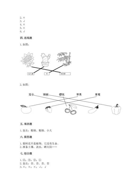 教科版科学一年级上册第一单元《植物》测试卷及答案（基础+提升）.docx