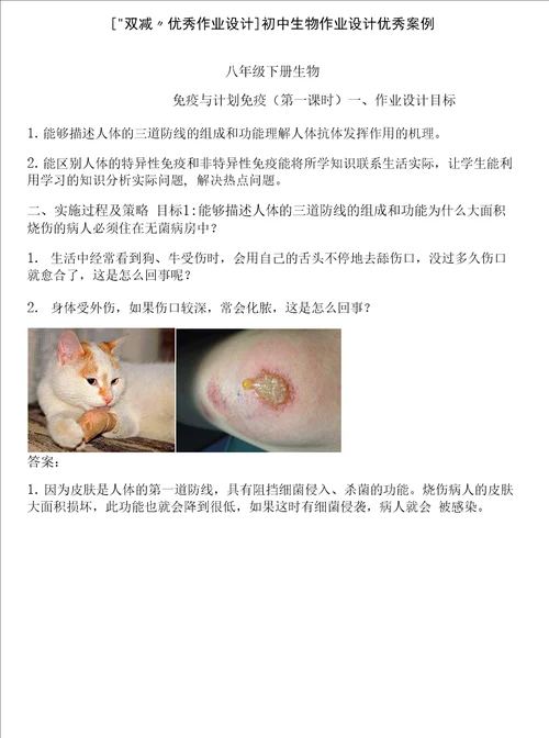 “双减优秀作业设计初中生物作业设计优秀案例两篇
