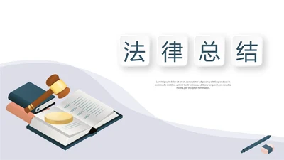 法律总结动态PPT