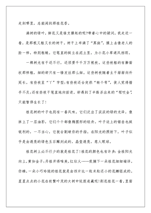 我爱桂花600字话题作文