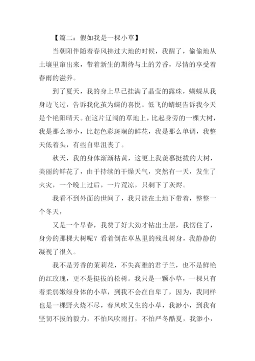 假如我是小草作文.docx