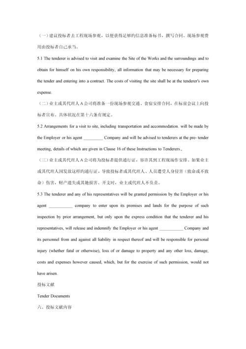 国际关键工程全新招标专项说明书格.docx