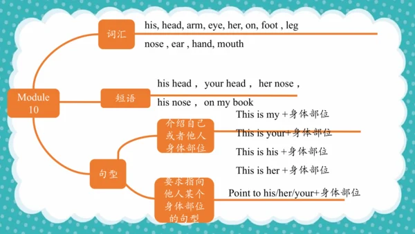 Module10（复习课件）-2023-2024学年三年级英语上册（外研版三起）(共37张PPT)