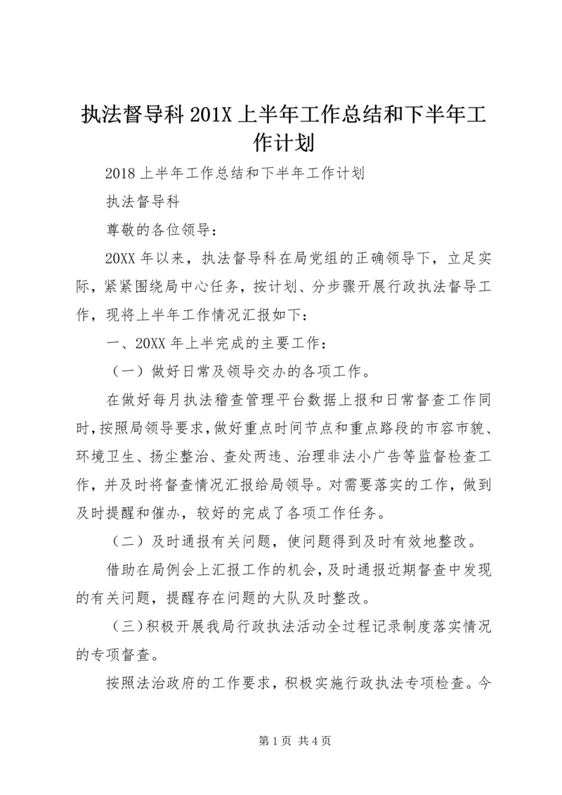 执法督导科201X上半年工作总结和下半年工作计划.docx