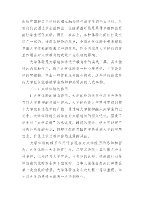 大学体验实践大学精神的新视角的论文.docx