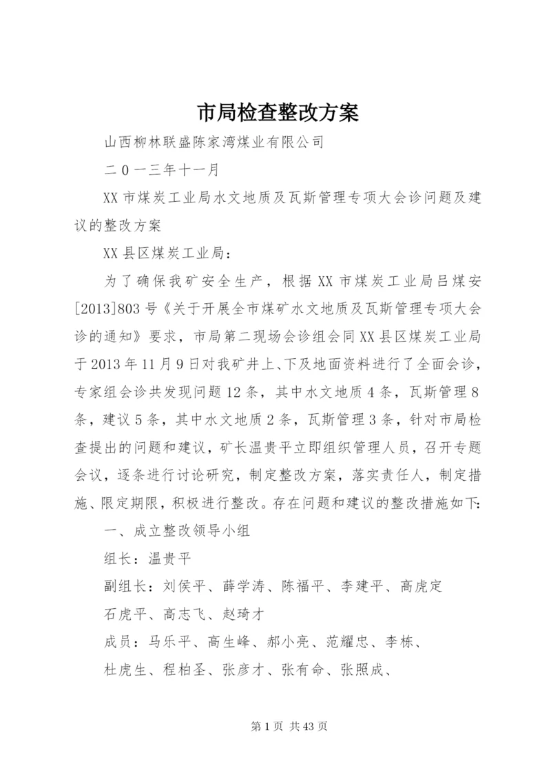 市局检查整改方案.docx