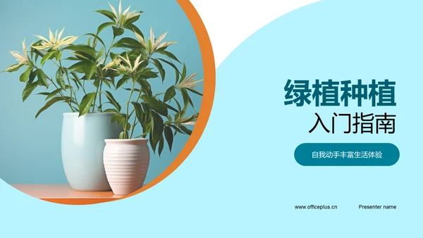 绿植种植入门指南