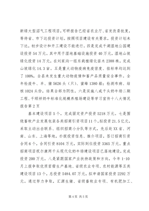学习宣传十八大情况报告 (2).docx