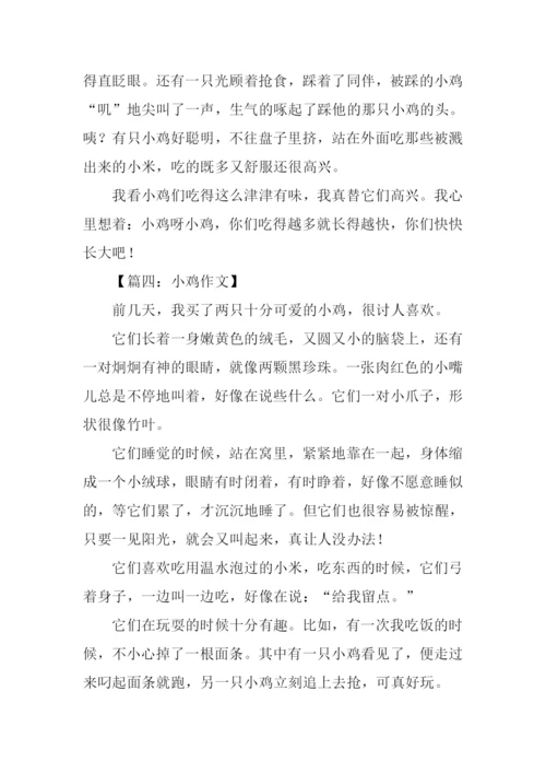 小鸡作文300字0.docx