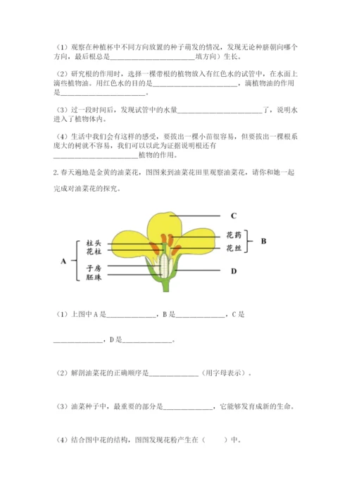 科学四年级下册第一单元《植物的生长变化》测试卷及1套参考答案.docx