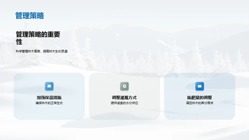 雪季养护：林木育苗秘籍