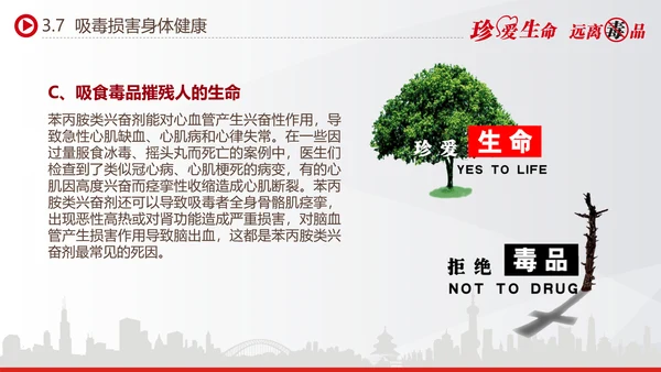 世界禁毒日宣传禁毒知识教学PPT模板