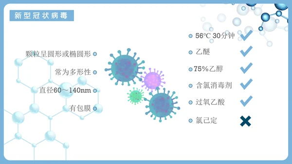 新冠病毒防护知识科普PPT课件模板