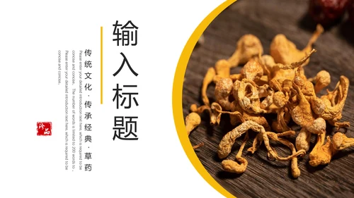 冬虫夏草保健养生中草药通用PPT