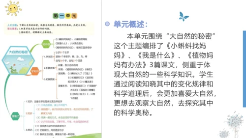 统编版二年级语文上册同步高效课堂系列第一单元（复习课件）