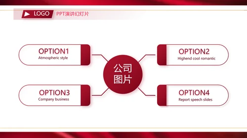 高端公司品牌产品介绍策划方案工作总结PPT