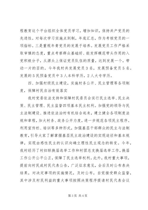 村XX年度党建工作汇报材料.docx