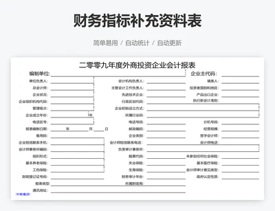 财务指标补充资料表