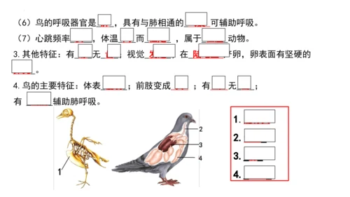 人教版生物八年级上册期末考试知识点汇总（课件）(共28张PPT)