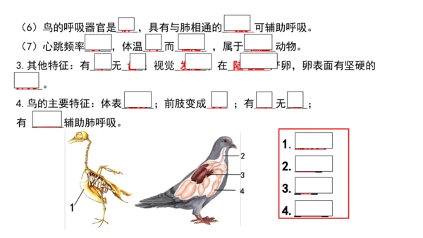 人教版生物八年级上册期末考试知识点汇总（课件）(共28张PPT)