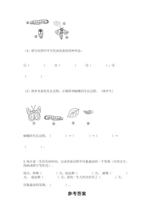教科版三年级下册科学期末测试卷【黄金题型】.docx
