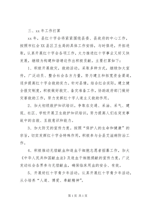 红十字会工作总结 (9).docx