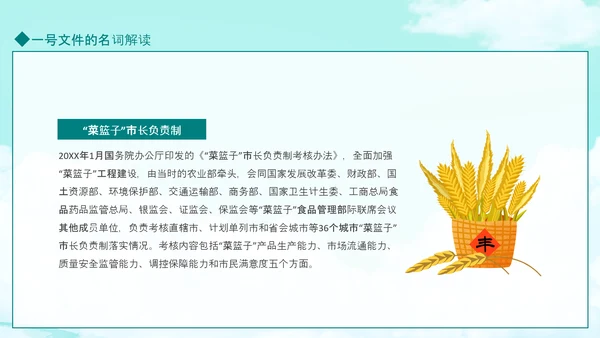 国务院全面推进乡村振兴PPT模板