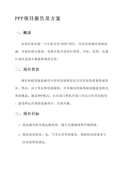 ppp项目报告及方案