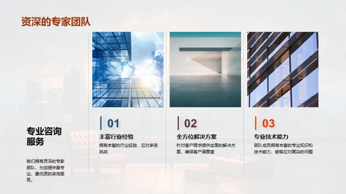 咨询业务全景解析