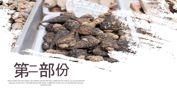 中医学养生保健医院中医文化中草药PPT