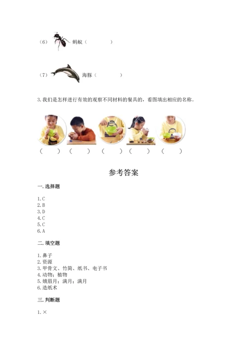 教科版科学二年级上册《期末测试卷》精品（必刷）.docx