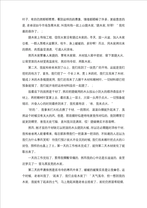 大学生寒假社会实践报告二