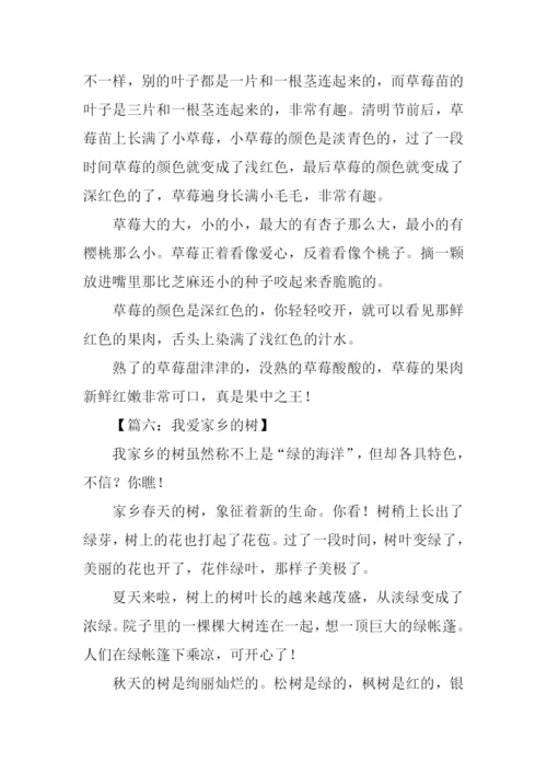 关于写景的作文300字.docx
