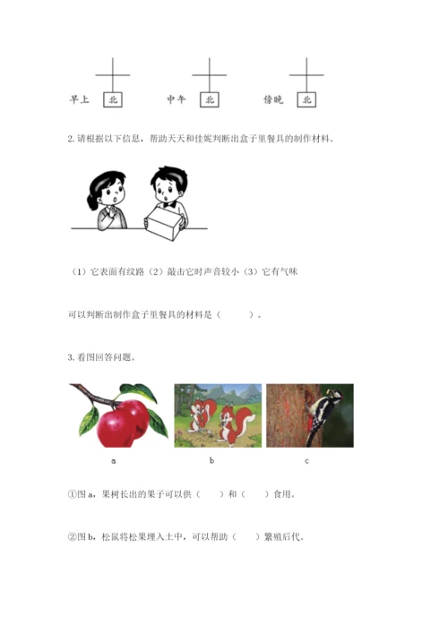 教科版小学二年级上册科学期末测试卷（考点梳理）.docx