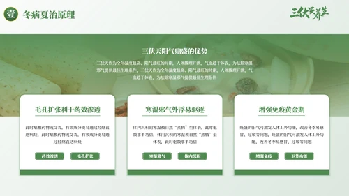 绿色古风三伏天养生健康指南PPT模板
