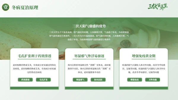 绿色古风三伏天养生健康指南PPT模板