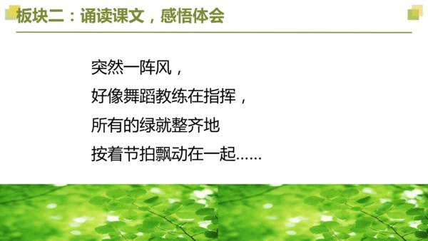 部编版2022-2023学年四年级语文下册大单元教学  第三单元    课件