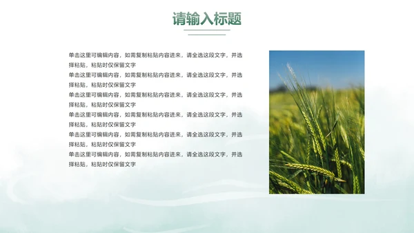 古风端午节节日科普PPT模板