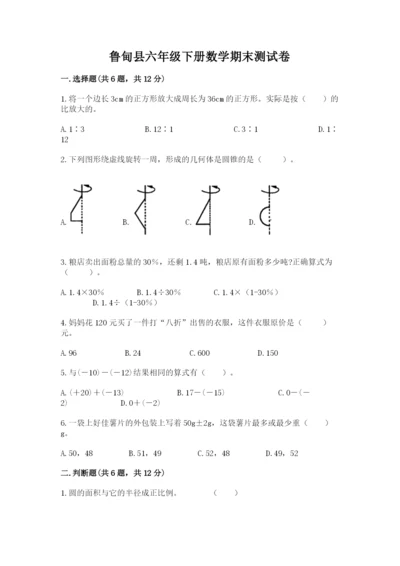 鲁甸县六年级下册数学期末测试卷附精品答案.docx