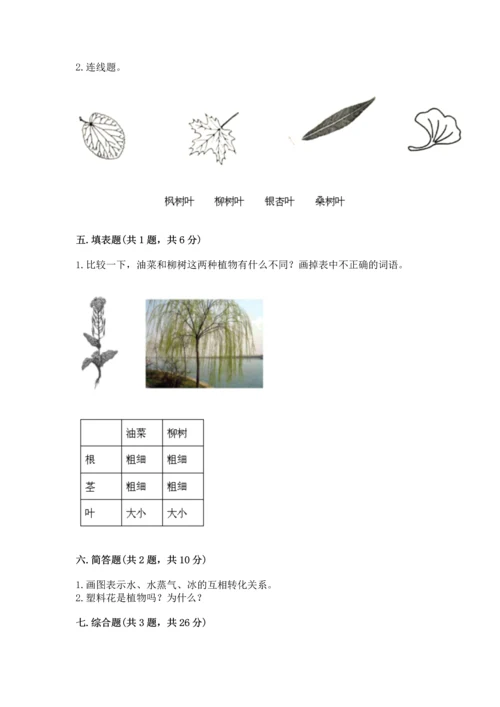 教科版科学一年级上册第一单元《植物》测试卷附答案【综合卷】.docx