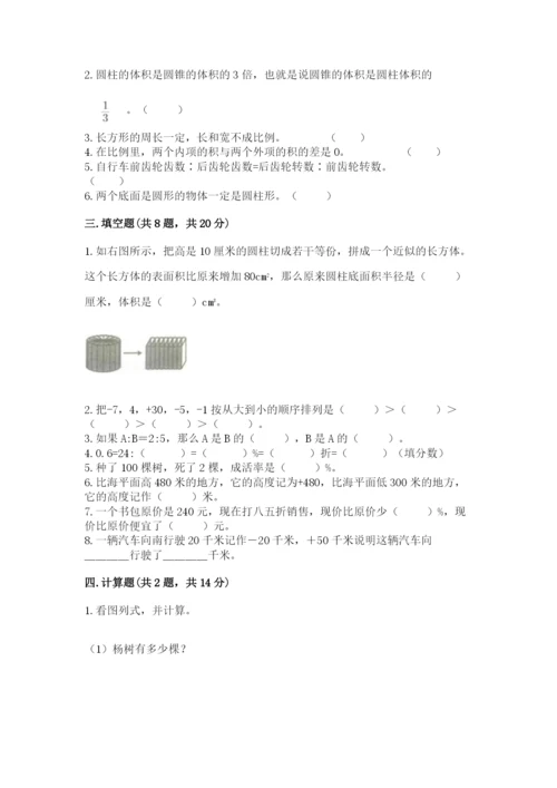 洛阳市汝阳县六年级下册数学期末测试卷及一套完整答案.docx