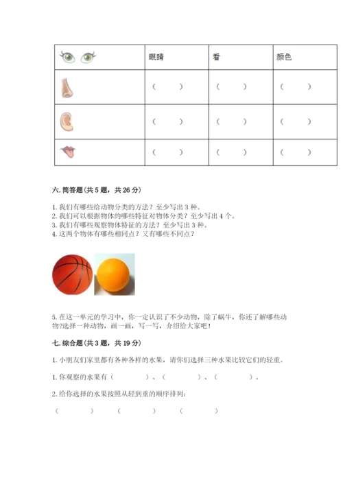 教科版一年级下册科学期末测试卷【基础题】.docx